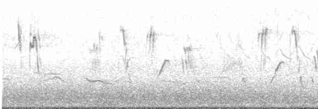 Патагонский конёк - ML612197106