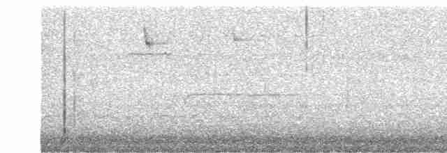 strakapoud osikový - ML612198734