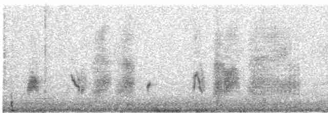 svartryggvarsler (collaris gr.) - ML612203327