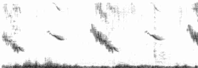 Хохлатая птица-бич - ML612203879