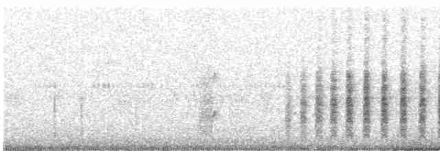 Black-faced Woodswallow - ML612215276