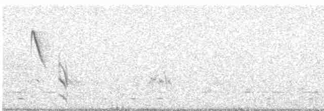 Kırlangıç Öksekuşu - ML612215315