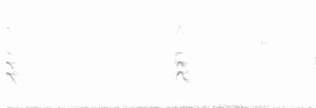 Черношапочная пальмагра - ML612216737