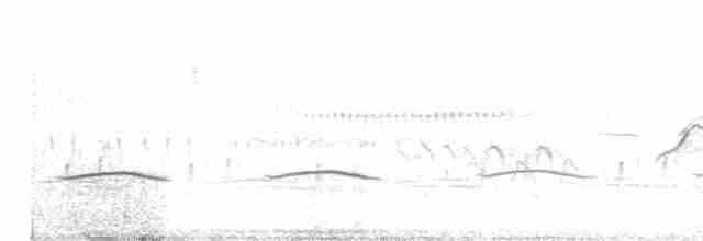 Желтобровая овсянка-барсучок - ML612218617