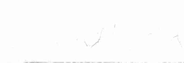 Скрытохвост татаупа - ML612218921