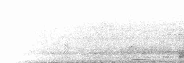 Cisne Negro - ML612218972