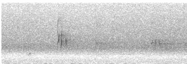 Серогрудый трескунчик - ML612219054