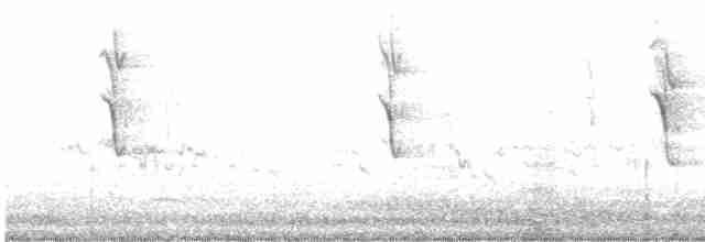 Медник блідий - ML612219353