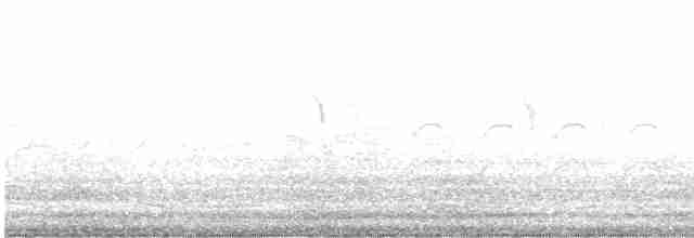 Grallina Australiana - ML612219365