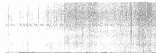 חרטומית סיבירית - ML612219396