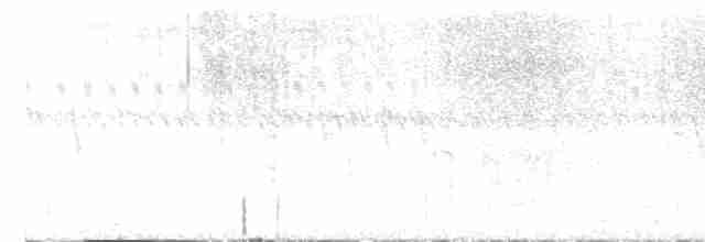 חרטומית סיבירית - ML612219397