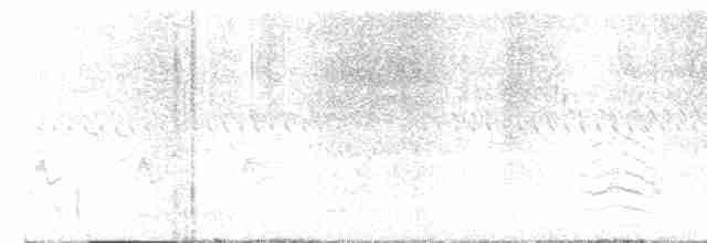חרטומית סיבירית - ML612219404