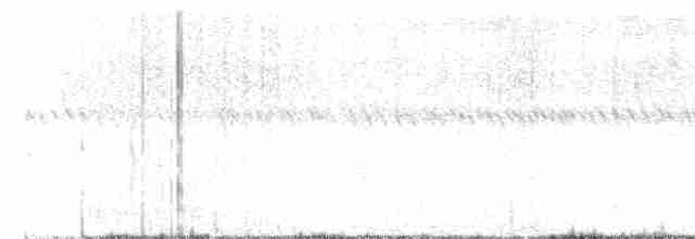 חרטומית סיבירית - ML612219405