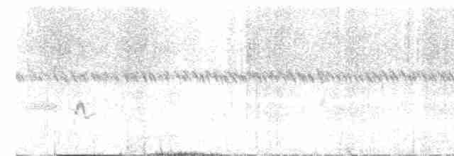 חרטומית סיבירית - ML612219435