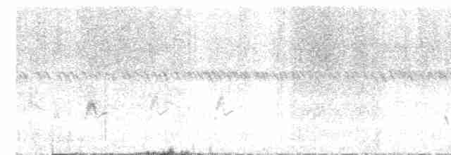חרטומית סיבירית - ML612219450