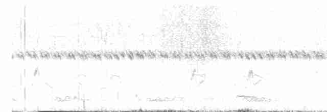 חרטומית סיבירית - ML612219469
