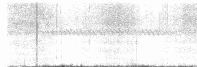 חרטומית סיבירית - ML612219480