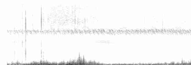 חרטומית סיבירית - ML612219481