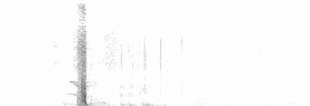Полосатый лесной сокол - ML612219938