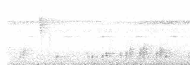 Troglodyte chanteur - ML612220291