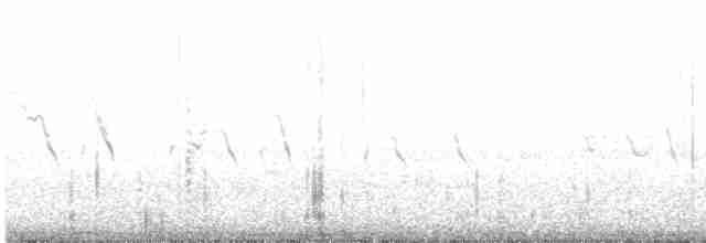 Great Grebe - ML612222474