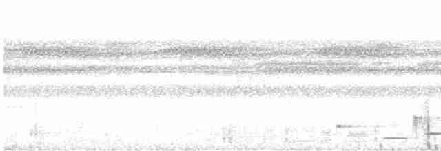 Тріскопліт рудолобий (підвид salvini) - ML612224786