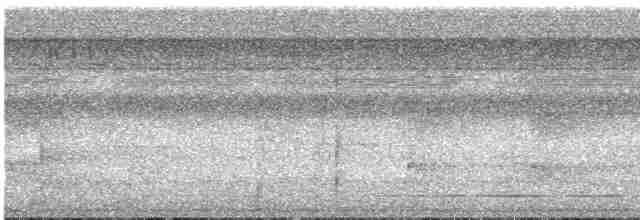 White-throated Tinamou - ML612225891