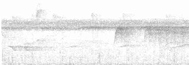 Тиран-карлик амазонійський - ML612225977