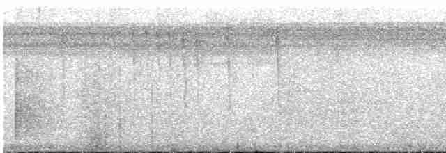 Kızılca Karınlı Yer Guguğu - ML612226598