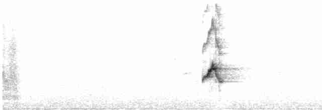 Galápagosspottdrossel - ML612226706