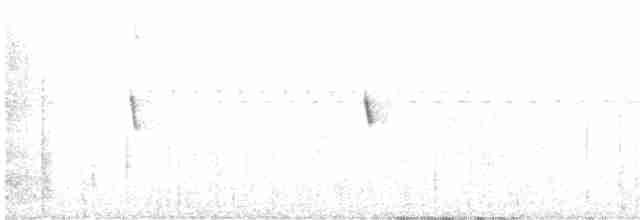 Галапагосский мухолов (nanus) - ML612226808