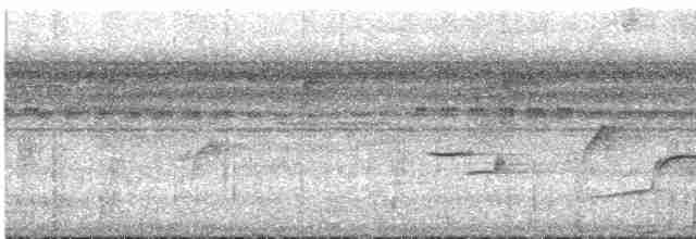Epaulet Oriole (Moriche) - ML612227206