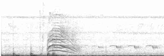 Гвианский скальный петушок - ML612227302