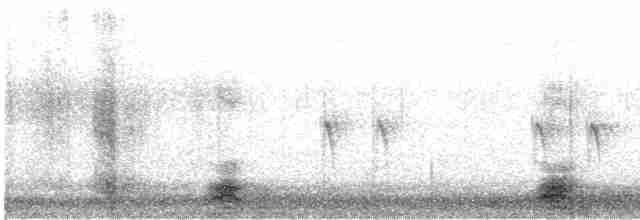 "Шишкар ялиновий (Western Hemlock, або тип 3)" - ML612228351