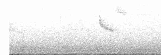 Swinhoe's White-eye - ML612229108
