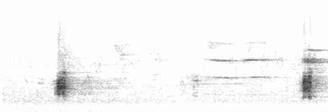Australian Reed Warbler - ML612230289