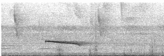 Серошапочный сорокопутовый виреон - ML612230846