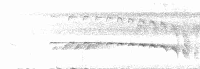 Kuzeyli Kestanerengi Karıncakuşu - ML612230973