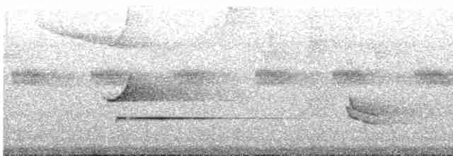 Troglodyte siffleur - ML612230985