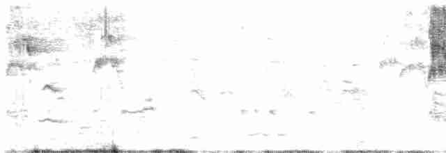 Лорікет-нектароїд блакитноволий - ML612235135