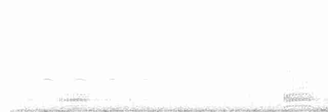 Cuervo Grande - ML612238164