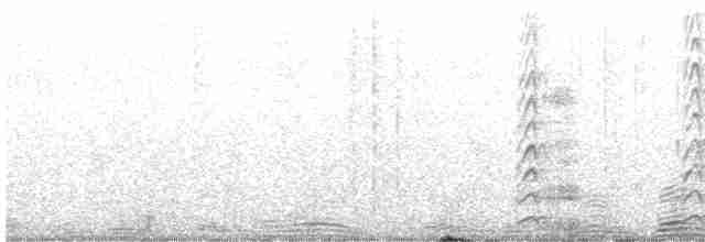 Кривоклювый пересмешник - ML612240214