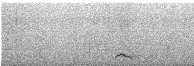 Австралийский совиный козодой - ML612241111