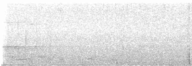 Медолюб-шилодзьоб східний - ML612241135