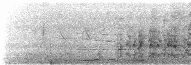 ホオアオサメクサインコ - ML612244811