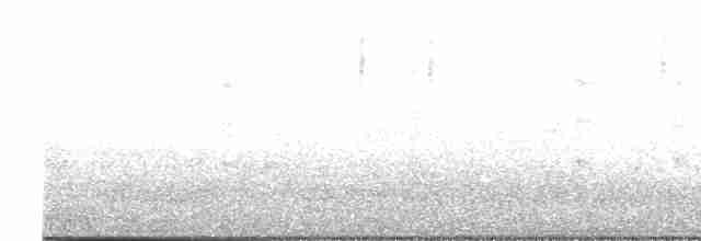 Uroilanda handia - ML612246270