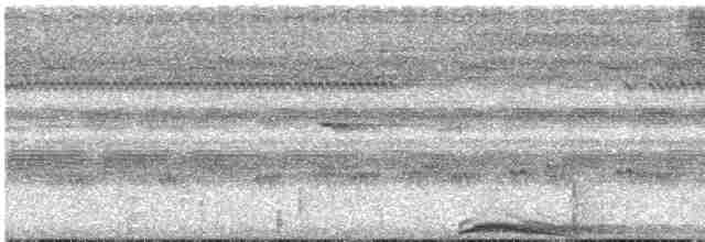Сова-лісовик смугаста - ML612246606