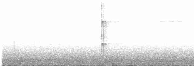 Downy Woodpecker (Rocky Mts.) - ML612247665