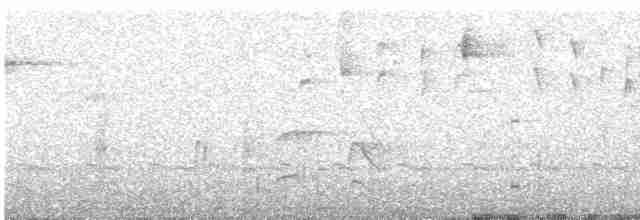 Gray-breasted Wood-Wren (meridana) - ML612247894