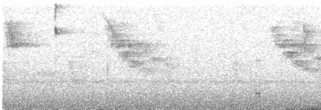 Андский крапивник - ML612247902